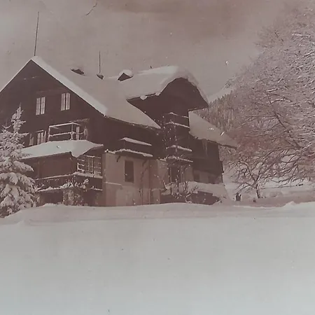 Otel Ramsauhof Pool & Wellness Breakfast & Light Dinner Buffet 4*