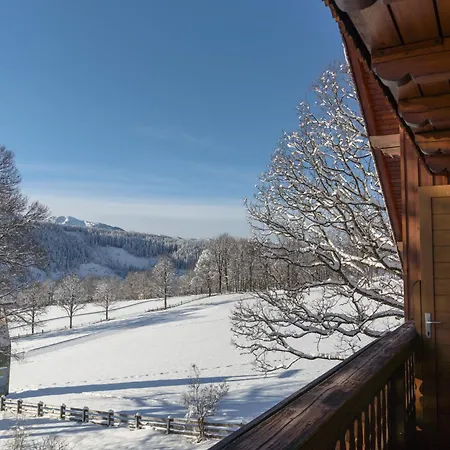 Ramsauhof Pool & Wellness فندق رامساو أم داتشستين