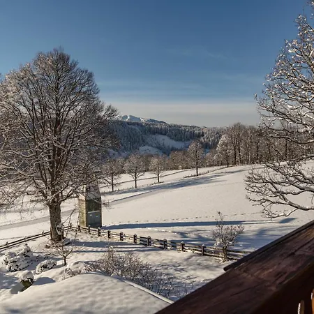 Ramsauhof Pool & Wellness فندق