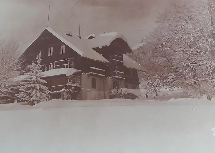 Hotel Ramsauhof Pool&wellness Breakfast&light Dinner Buffet 4*