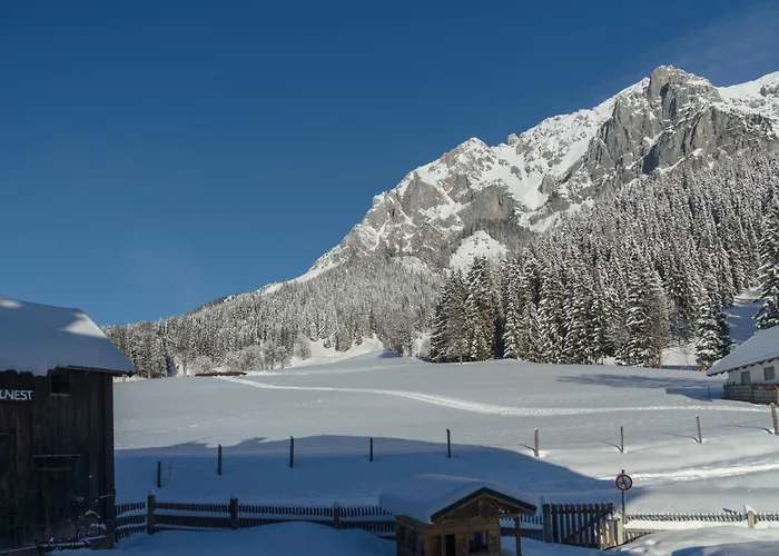 Ramsauhof Pool&wellness Breakfast&light Dinner Buffet Ramsau am Dachstein