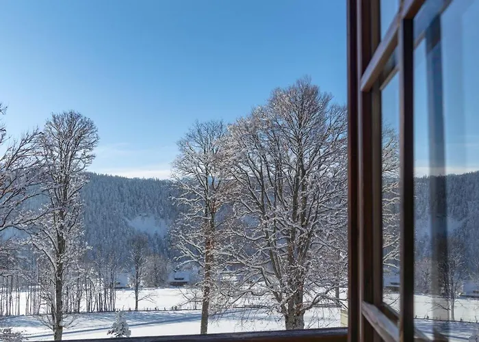 Ramsauhof Pool&wellness Breakfast&light Dinner Buffet